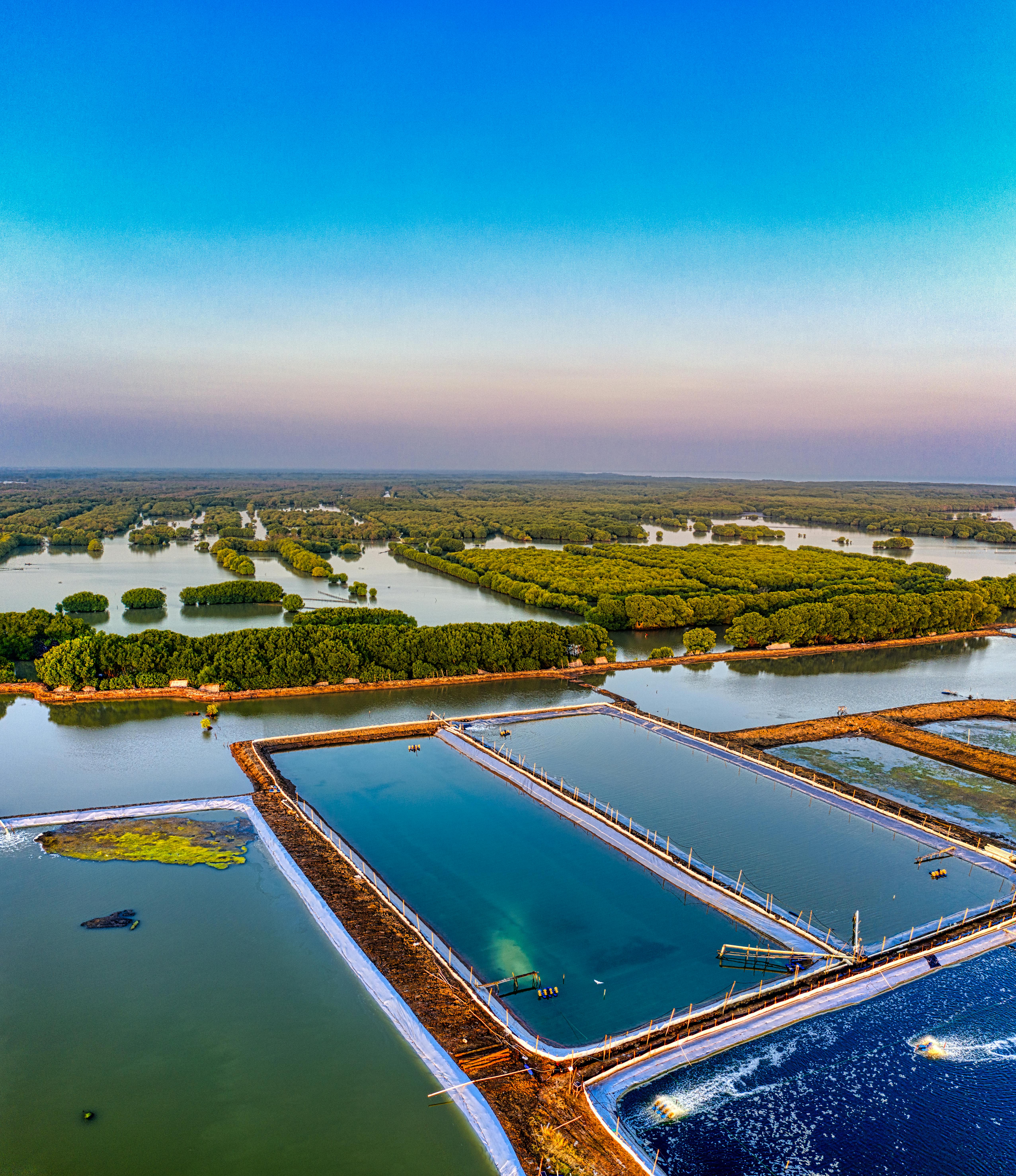 Gestión Medioambiental